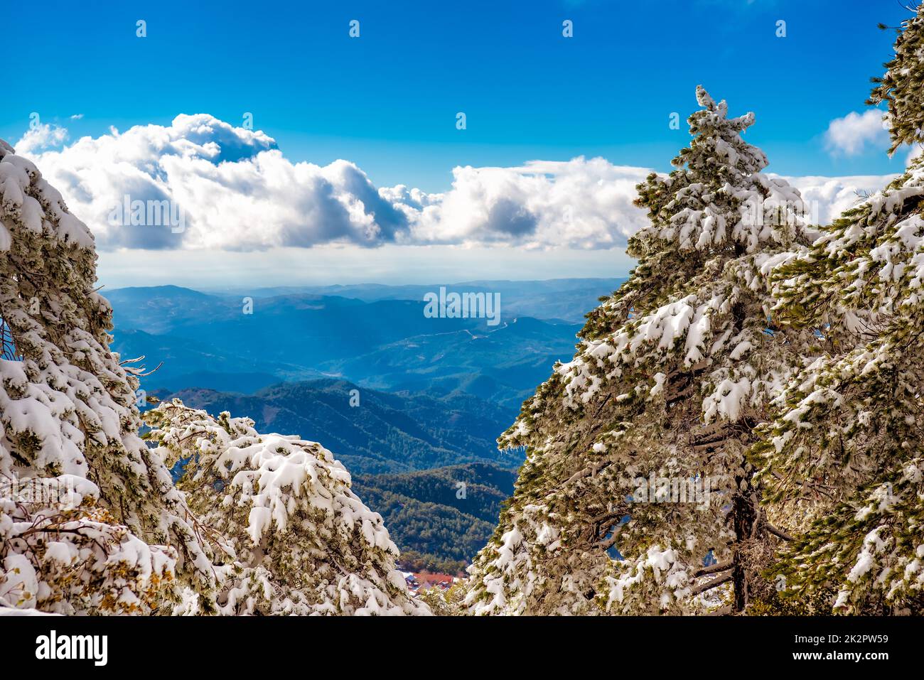 Splendido paesaggio invernale di montagna delle montagne di Troodos. Cipro Foto Stock