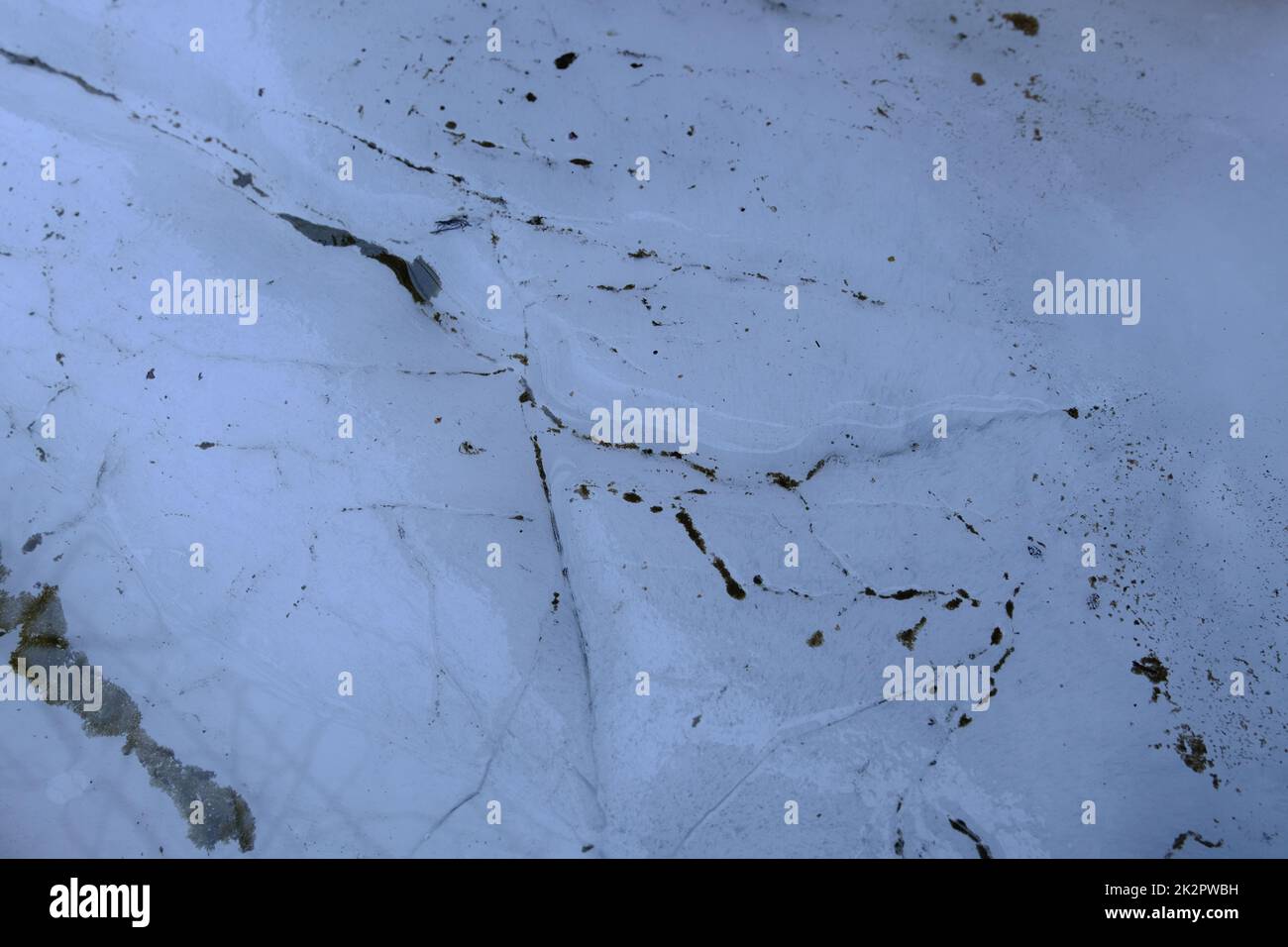 Primo piano della superficie di acqua congelata con alghe verdi sul fondo di uno stagno, giorno d'inverno. Struttura di acqua congelata Foto Stock