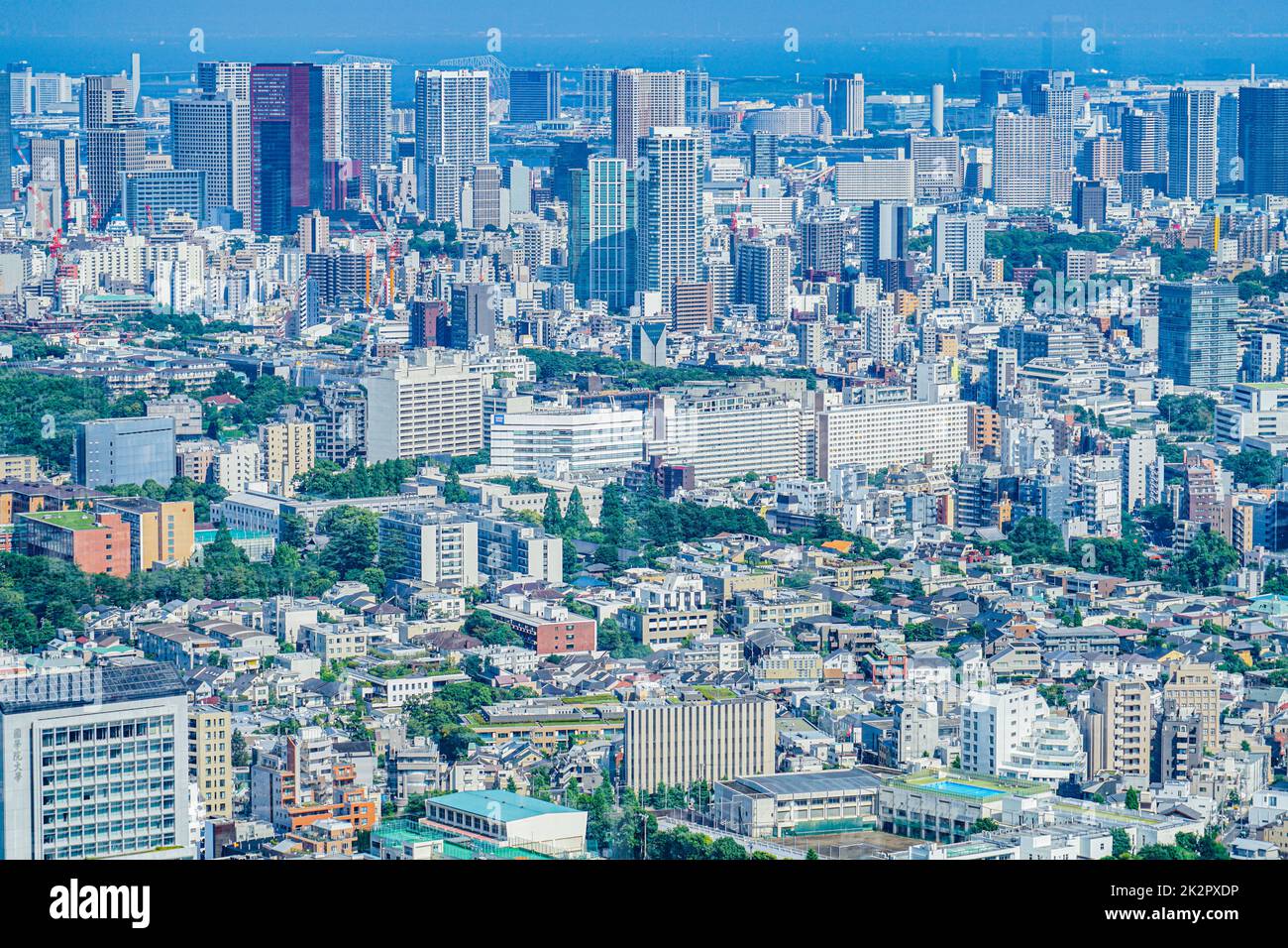 La vista dall'osservatorio Shibuya Sky Foto Stock