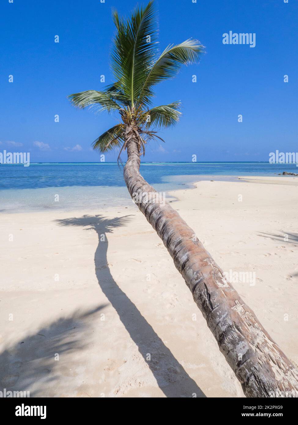 Seychelles, Mahe - Anse Aux Pins Foto Stock