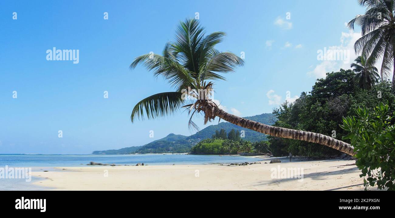 Seychelles, Mahe - Anse Aux Pins Foto Stock