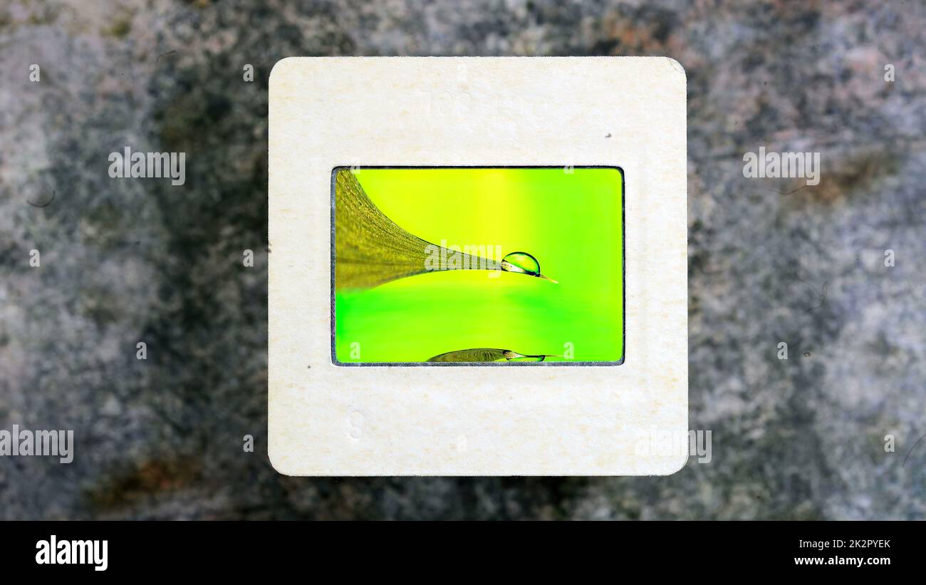 Gocciolina che si riflette sulla superficie dell'acqua su una pellicola vintage per vetrini Foto Stock