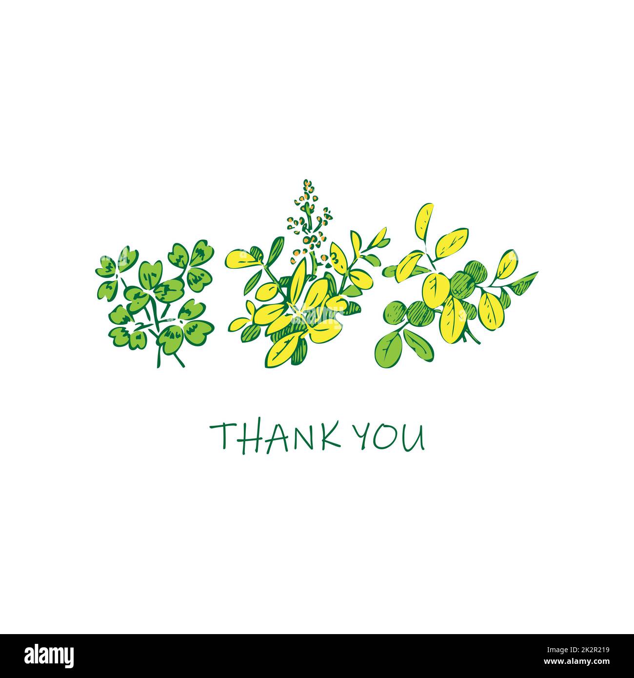 Biglietto floreale per l'invito di nozze. Fiori selvatici, gambi, foglie di colore verde pastello giallo su sfondo bianco. Illustrazione vettoriale, biglietto d'auguri, logo, design di branding, poster, stampa, compleanno Foto Stock