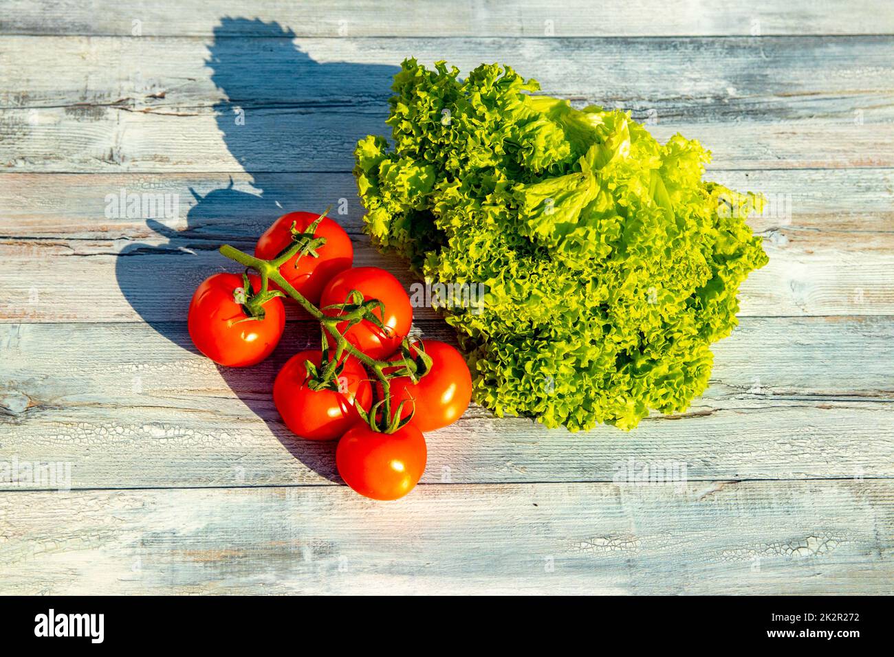 Primo piano di pomodori freschi sani e insalata verde su un rustico tavolo di legno luminoso. Concetto di salute. All'aperto con luce naturale del sole. Foto Stock