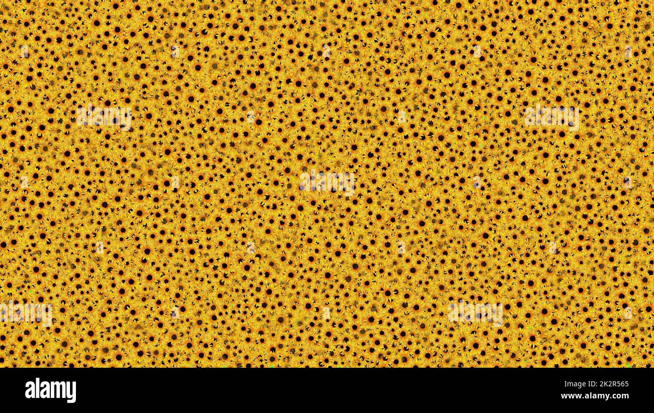 Molti girasoli sfondo illustrazione 3d Foto Stock