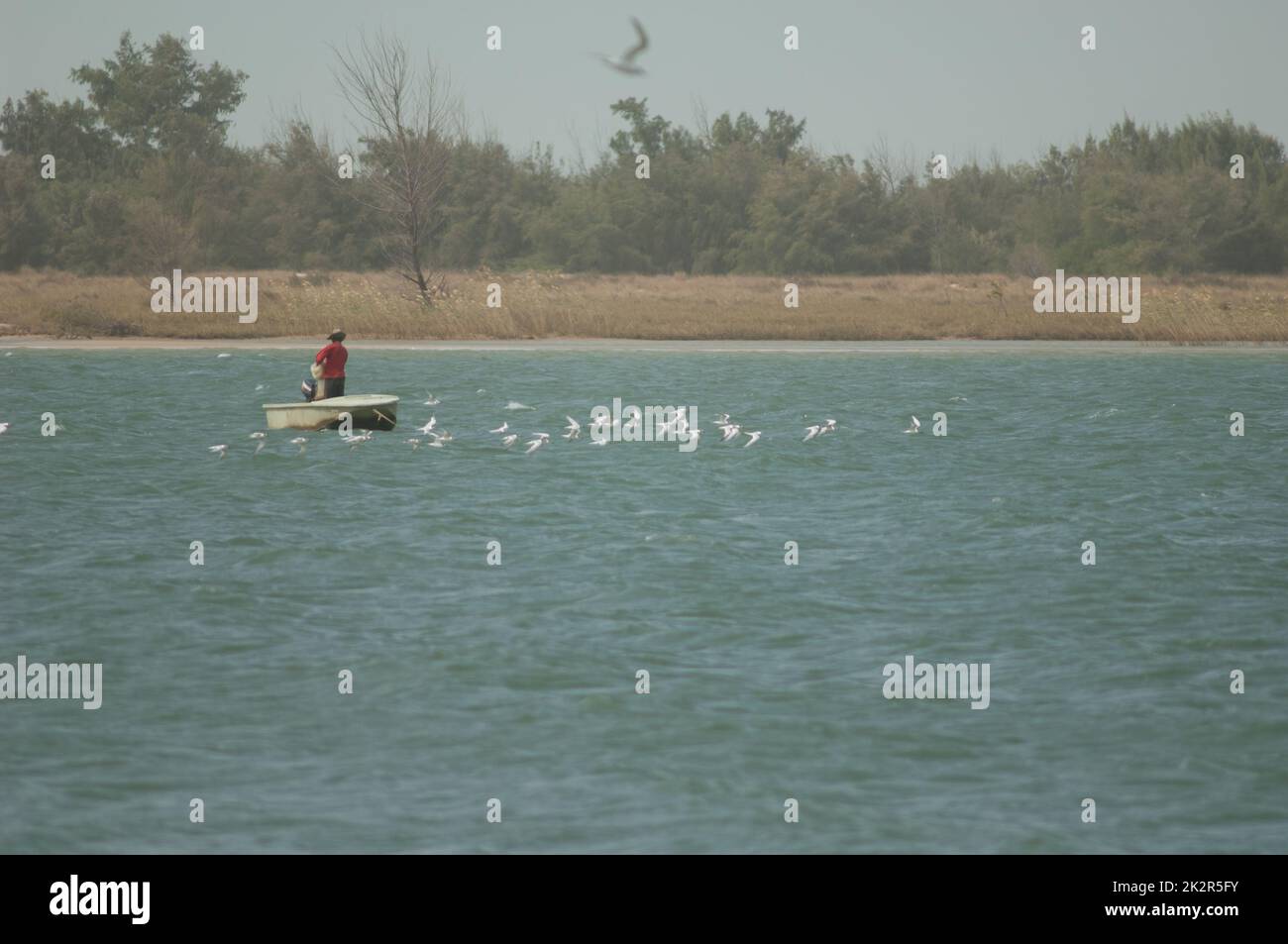 Uomo che pesca su una barca nel fiume Senegal. Foto Stock