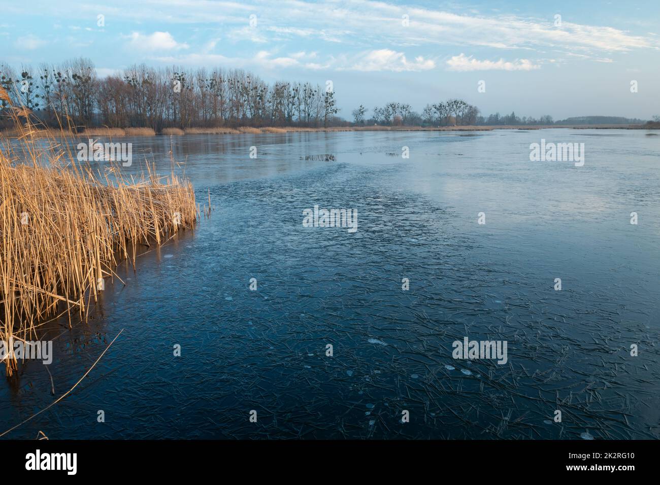 Un lago ghiacciato con canne e nuvole sul cielo Foto Stock