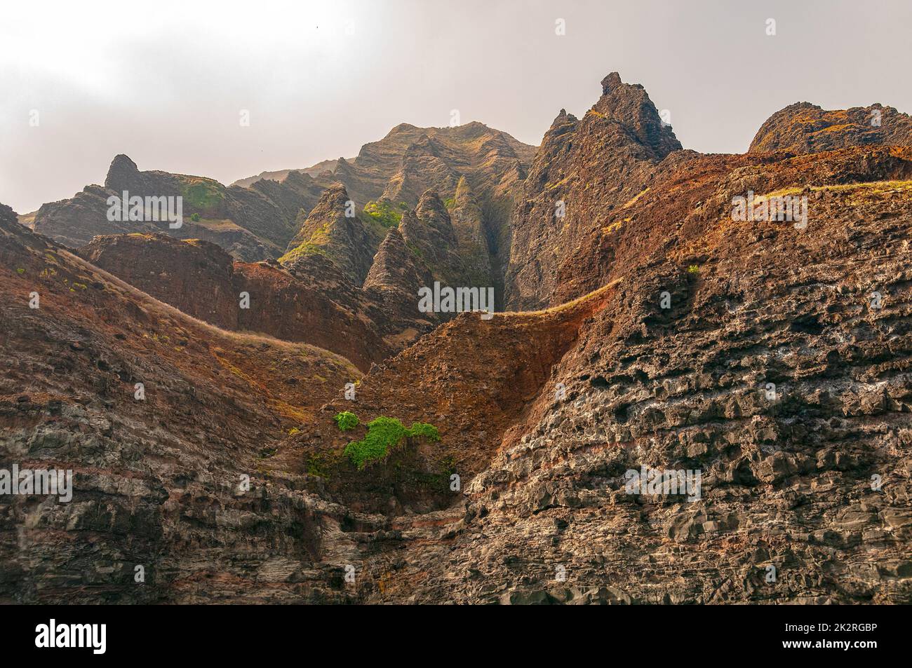 Ripide scogliere vulcaniche su una costa di Foggy Foto Stock