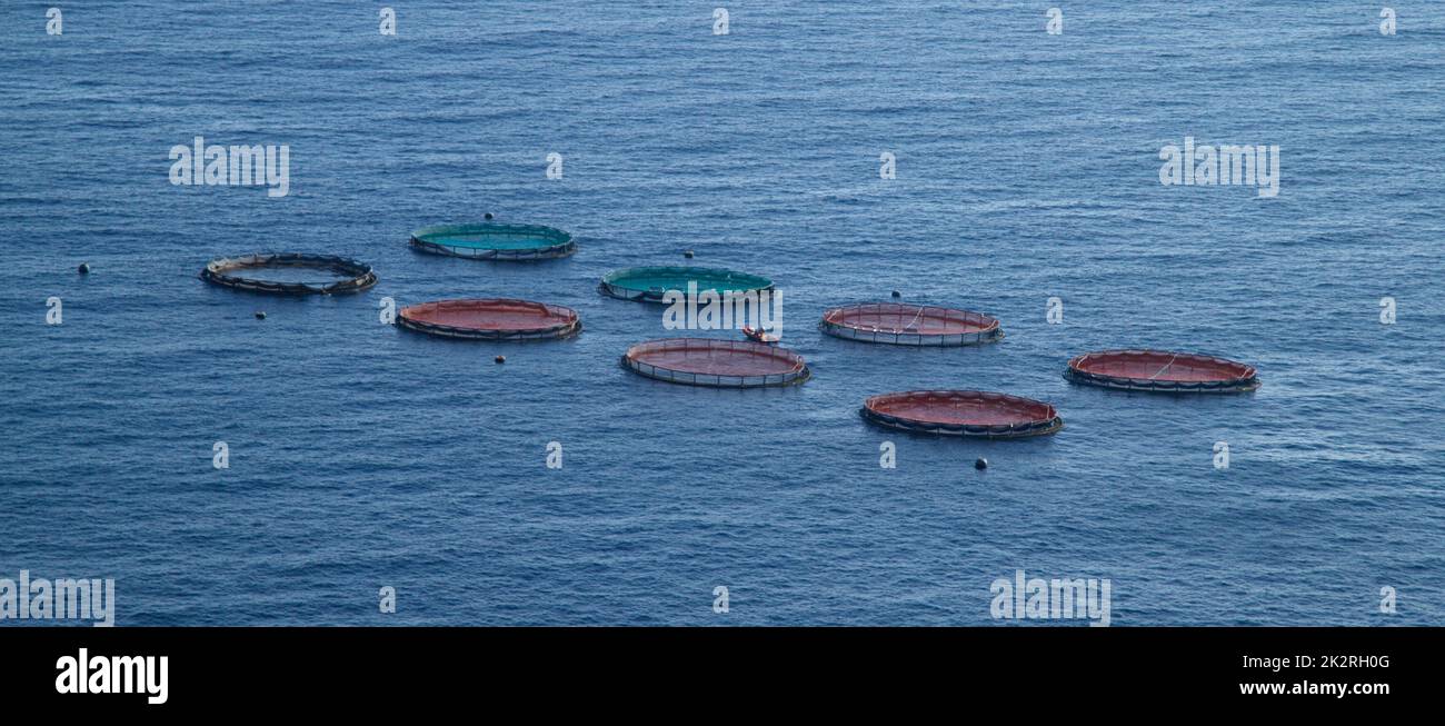 Allevamenti di pesci in mare aperto per l'allevamento di pesci e altri animali marini, vicino all'isola di Madeira nell'Oceano Atlantico Foto Stock