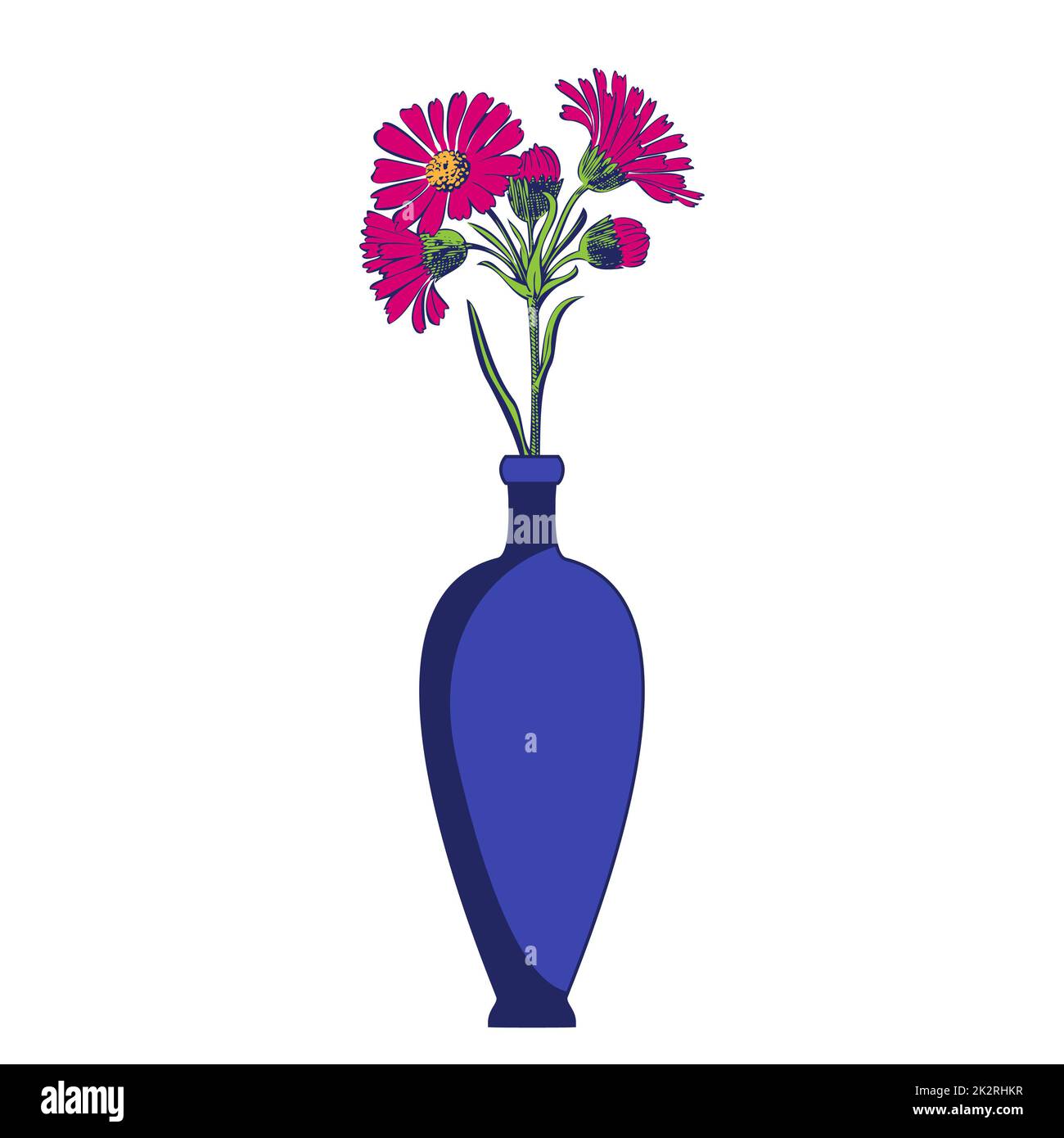 Vasi colorati con fiori in fiore per decorazione e interni. Bouquet di Chrysanthemums rosa in vaso blu isolato su fondo bianco. Illustrazione vettoriale Foto Stock
