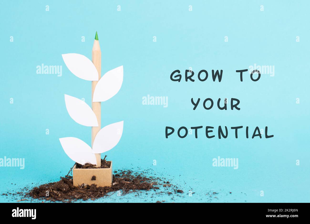 Pianta fatta da una matita e carta, la frase crescere al vostro potenziale è in piedi sullo sfondo, motivazione, istruzione e concetto di business Foto Stock