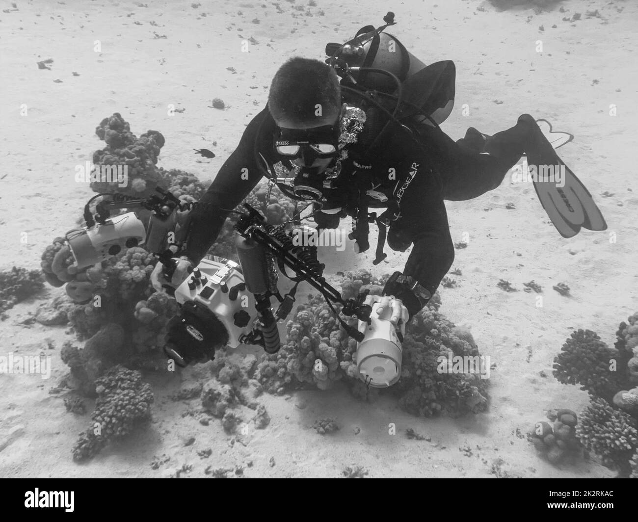 Subacqueo che scatta foto subacquee, scala di grigi Foto Stock