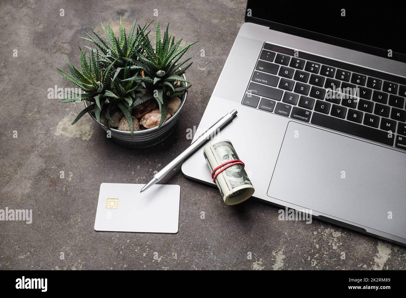 Concetto di shopping su Internet. Computer portatile, denaro, carta di credito, penna e succulente pianta. Foto Stock