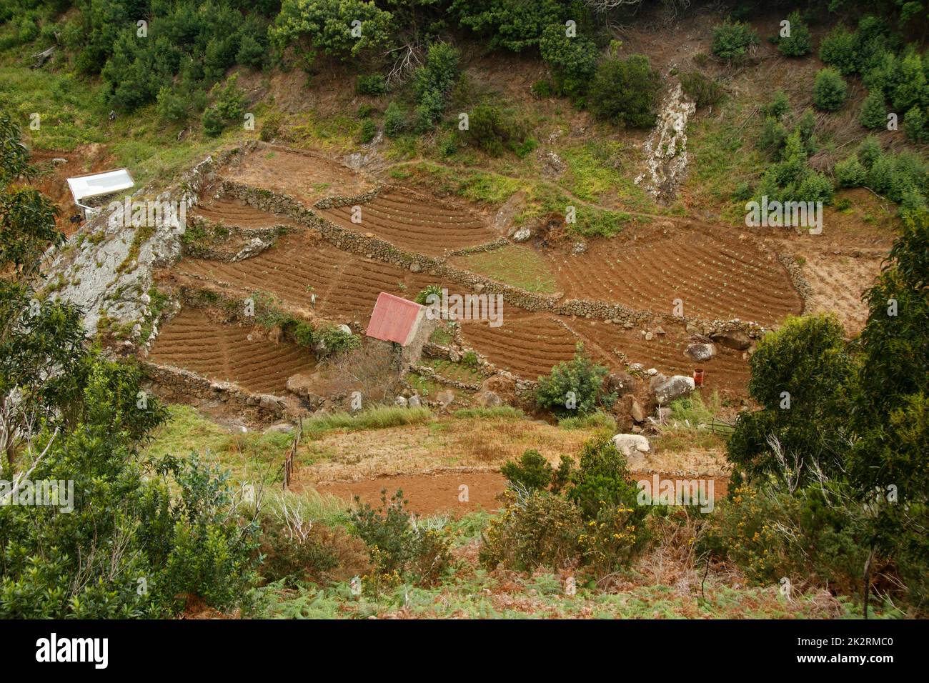 Vista areale dei piccoli campi sull'isola di Madeira, Portogallo Foto Stock