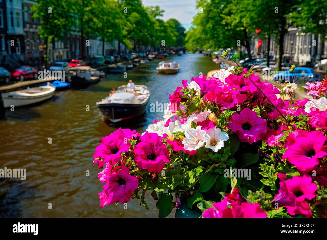 Amsterdam canal e fiori Foto Stock