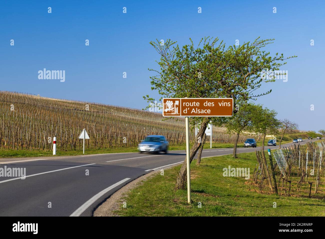 Strada del vino vicino Colmar, Alsazia, Francia Foto Stock