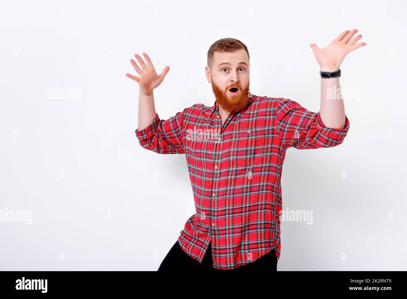 Uomo con i capelli rossi e la barba in plaid shirt Foto Stock