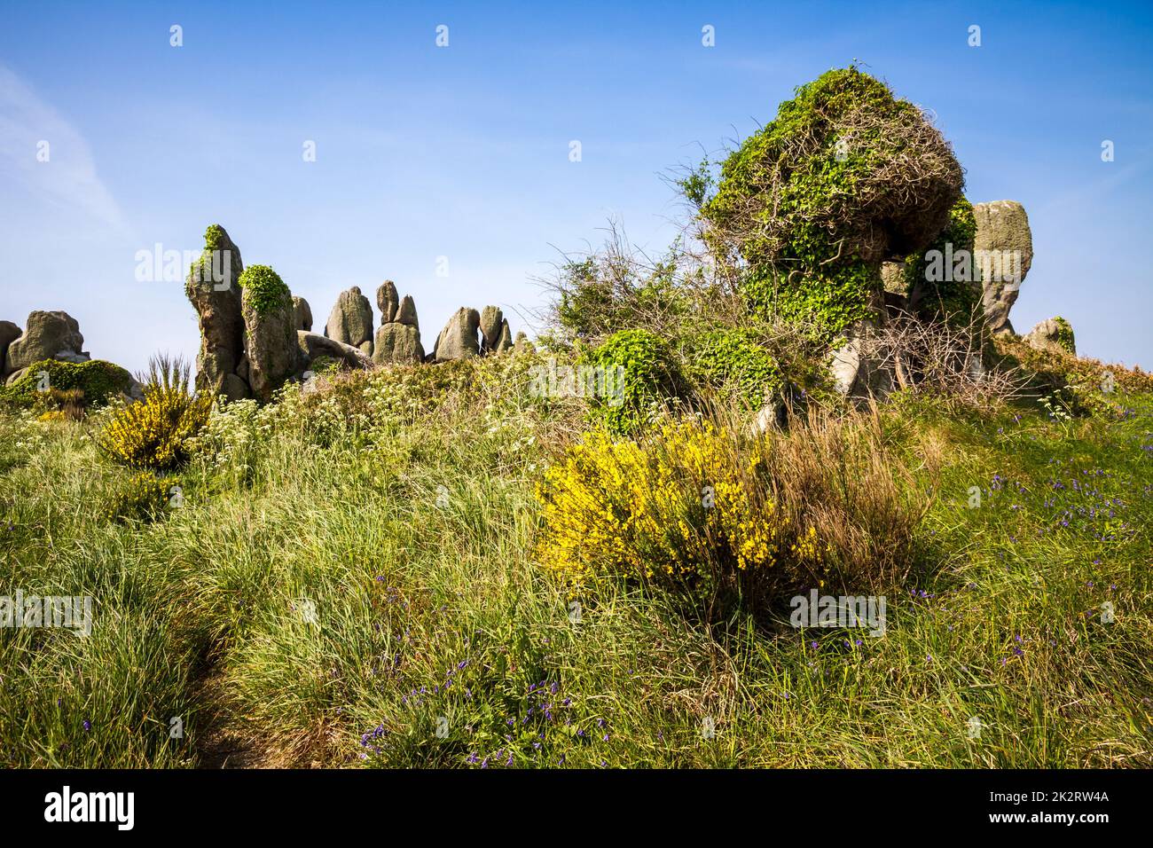 Chausey isola Bretagna, Francia Foto Stock