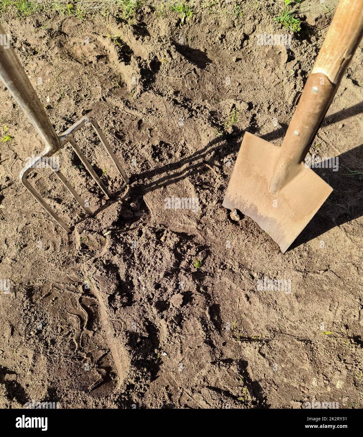 Attrezzi da giardino come una pala e una forchetta su terreno terreno appena scavato. Foto Stock