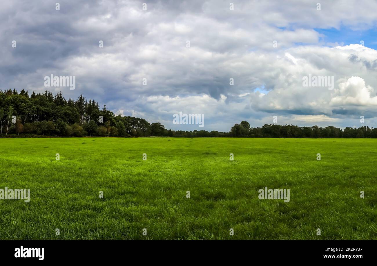 Bellissimo panorama ad alta risoluzione di un paesaggio di campagna del nord europa con campi e erba verde Foto Stock