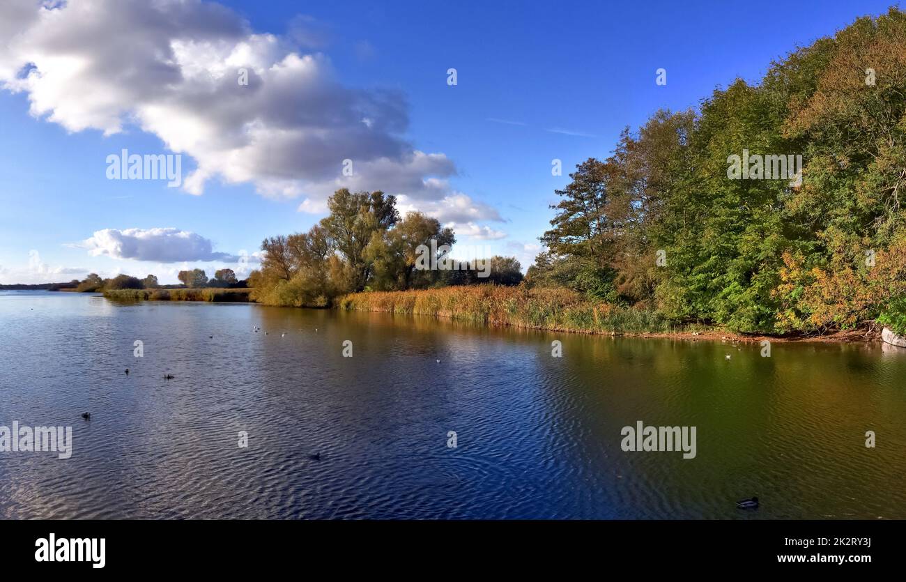 Bellissimo panorama ad alta risoluzione di un paesaggio di campagna del nord europa con campi e erba verde Foto Stock