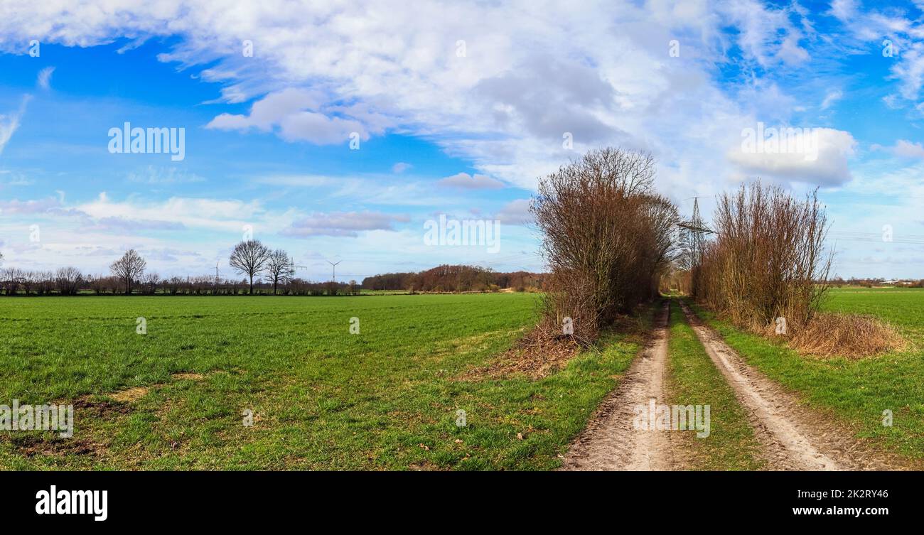 Bellissimo panorama ad alta risoluzione di un paesaggio di campagna del nord europa con campi e erba verde Foto Stock
