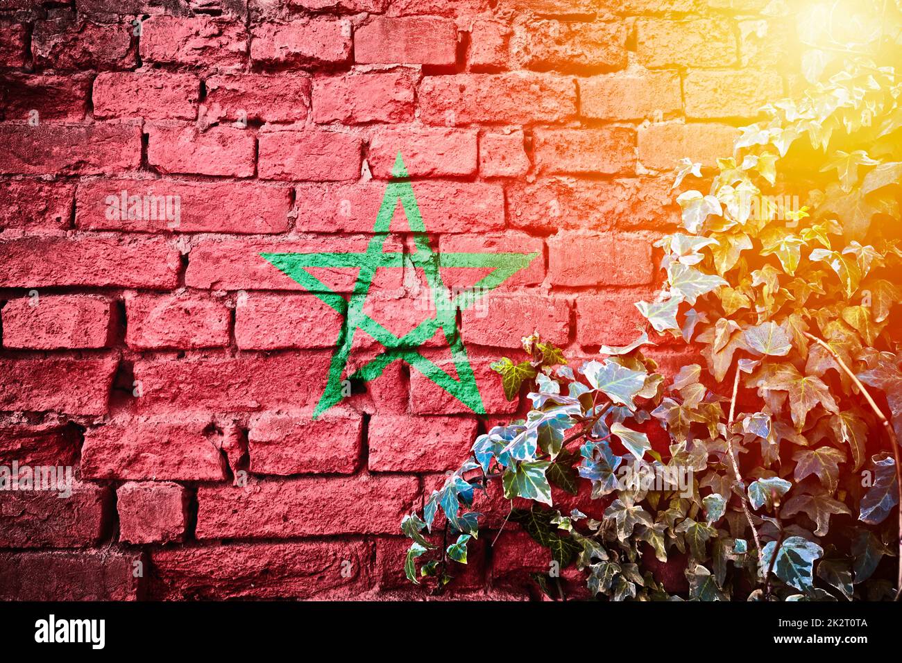 Bandiera di grunge del Marocco su muro di mattoni con vista di luce solare di pianta di edera Foto Stock