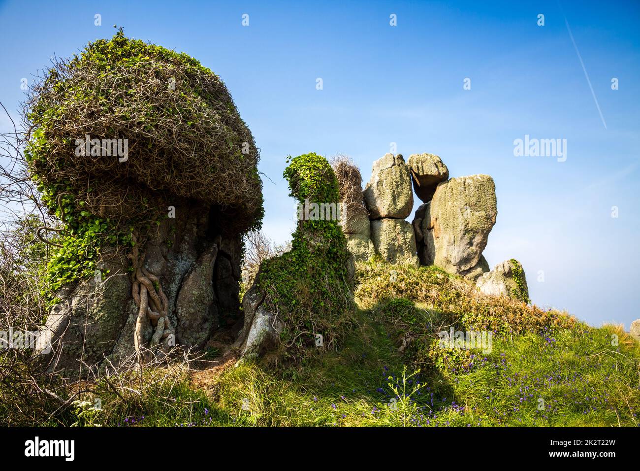 Chausey isola Bretagna, Francia Foto Stock