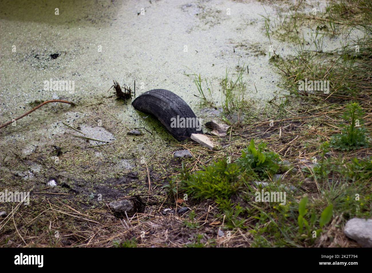 Vecchio pneumatico in acqua naturale Foto Stock
