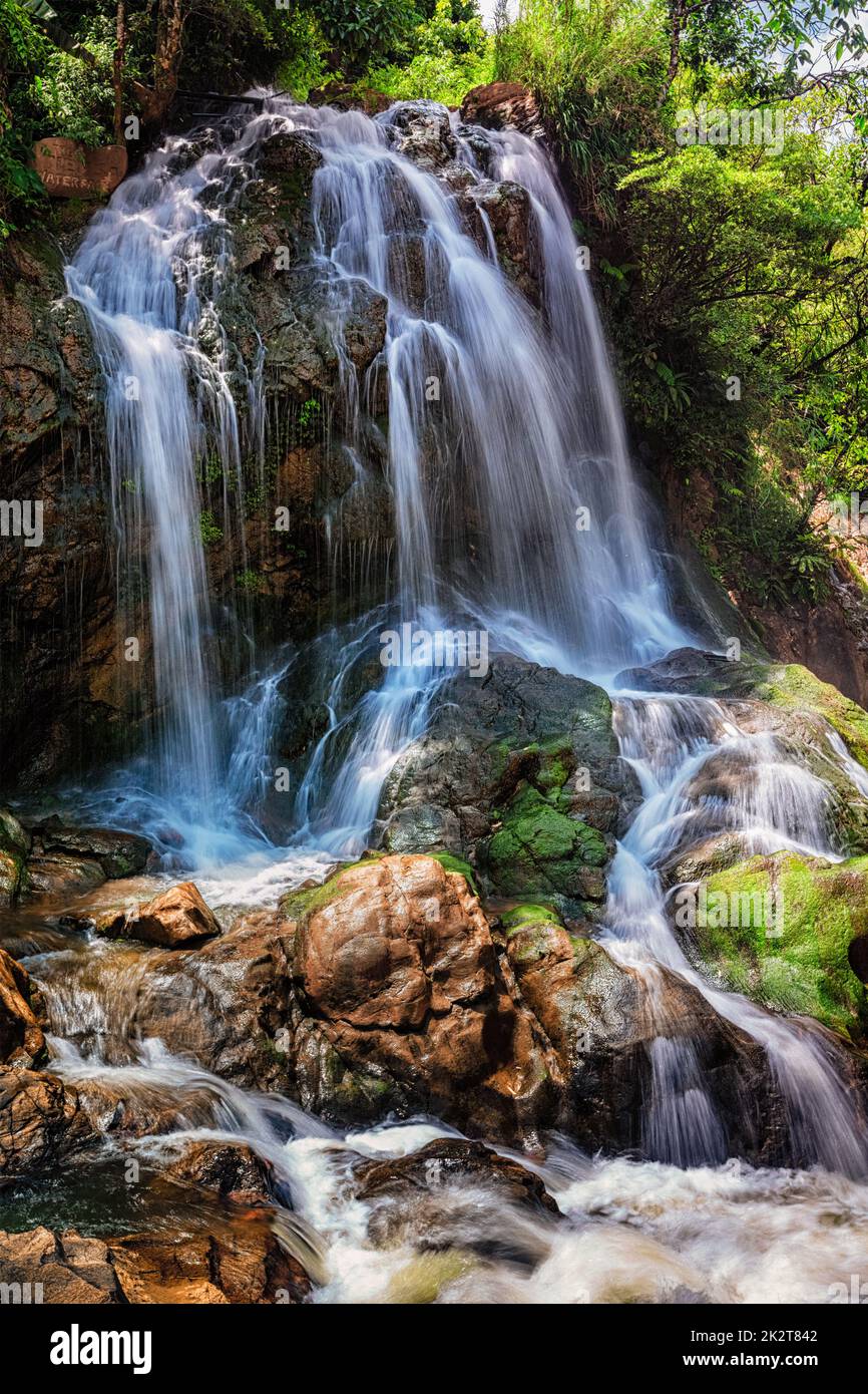 Waterfal tropicale nella giungla Foto Stock