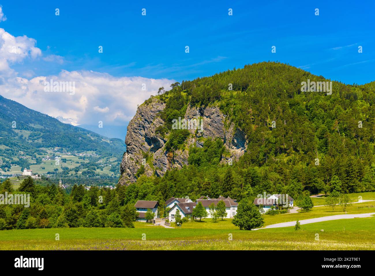 Colline montagne con foresta in Alpi, Vaduz, Oberland, Liechtenstein Foto Stock