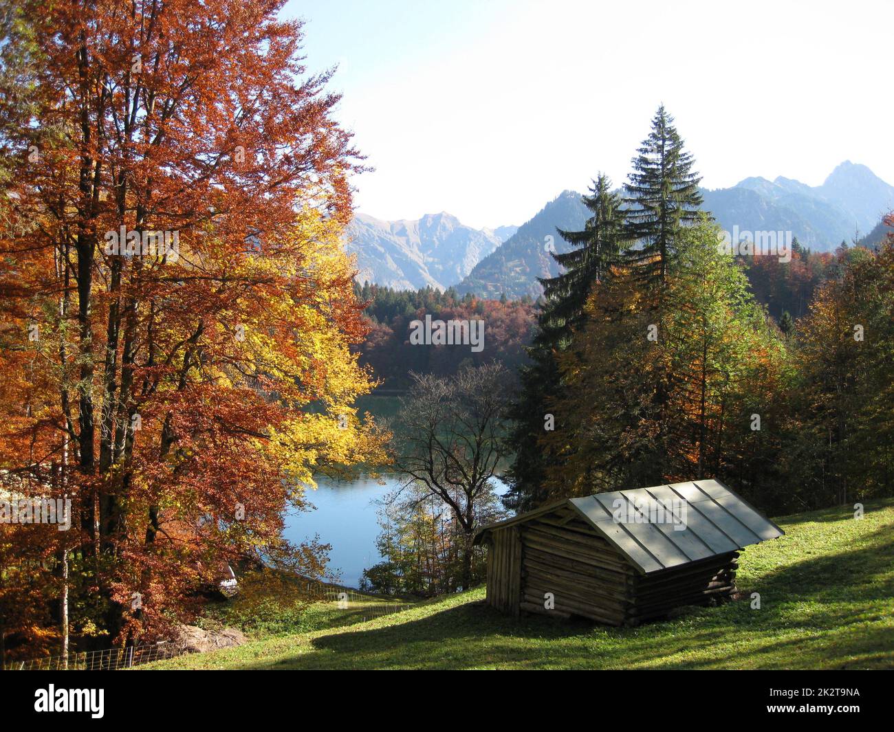 Freibergsee im Herbst Foto Stock