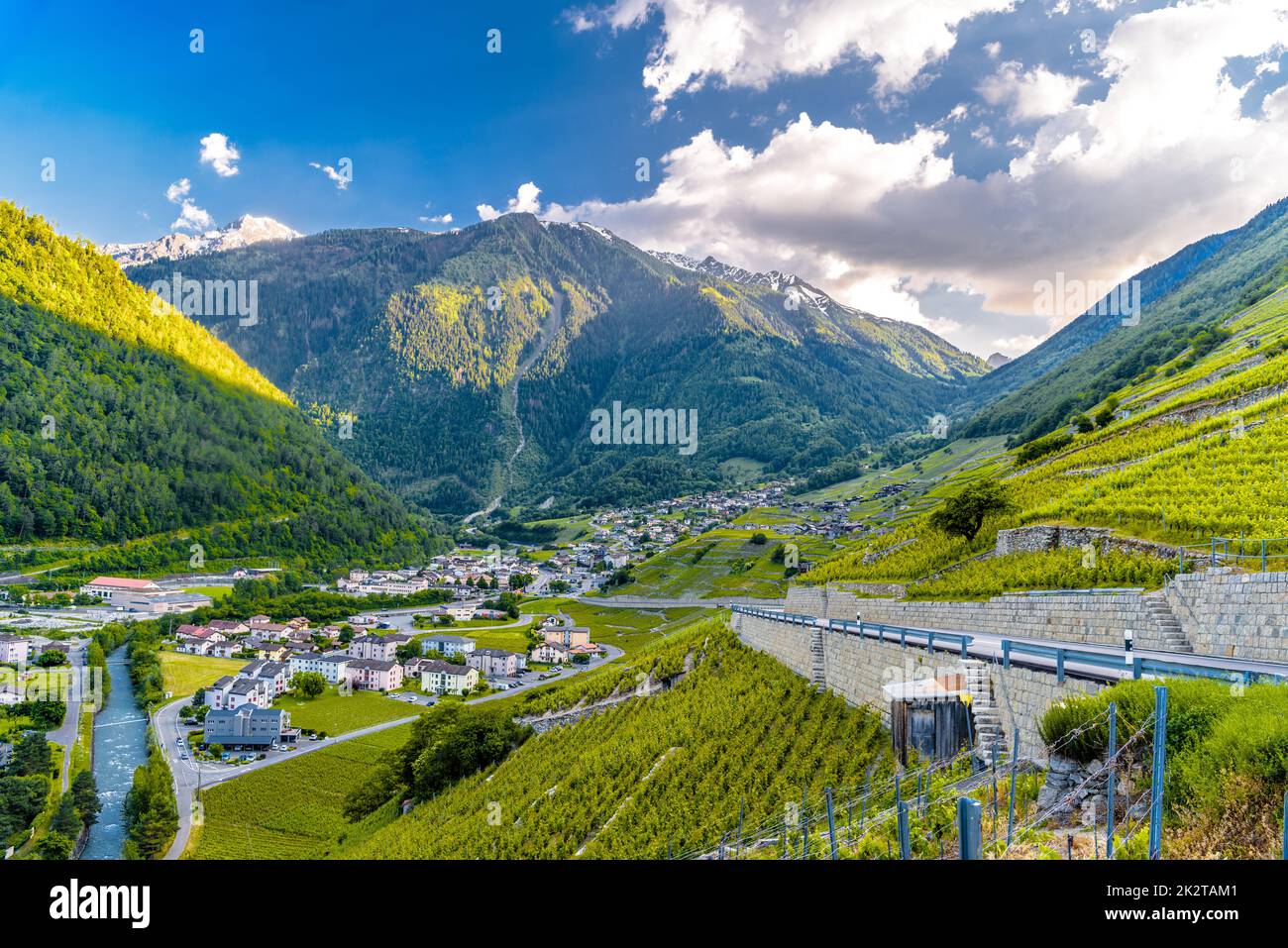 Vigneto sulle montagne dell'Alpe Svizzera, Martigny-Combe, Martigny, Walli Foto Stock