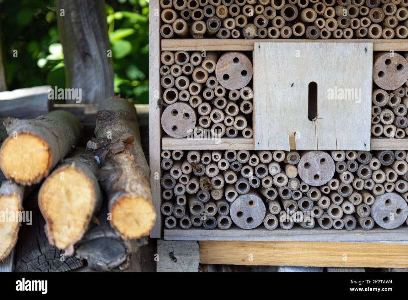 Un albergo per insetti per api, vespe e altri insetti in legno. Foto Stock