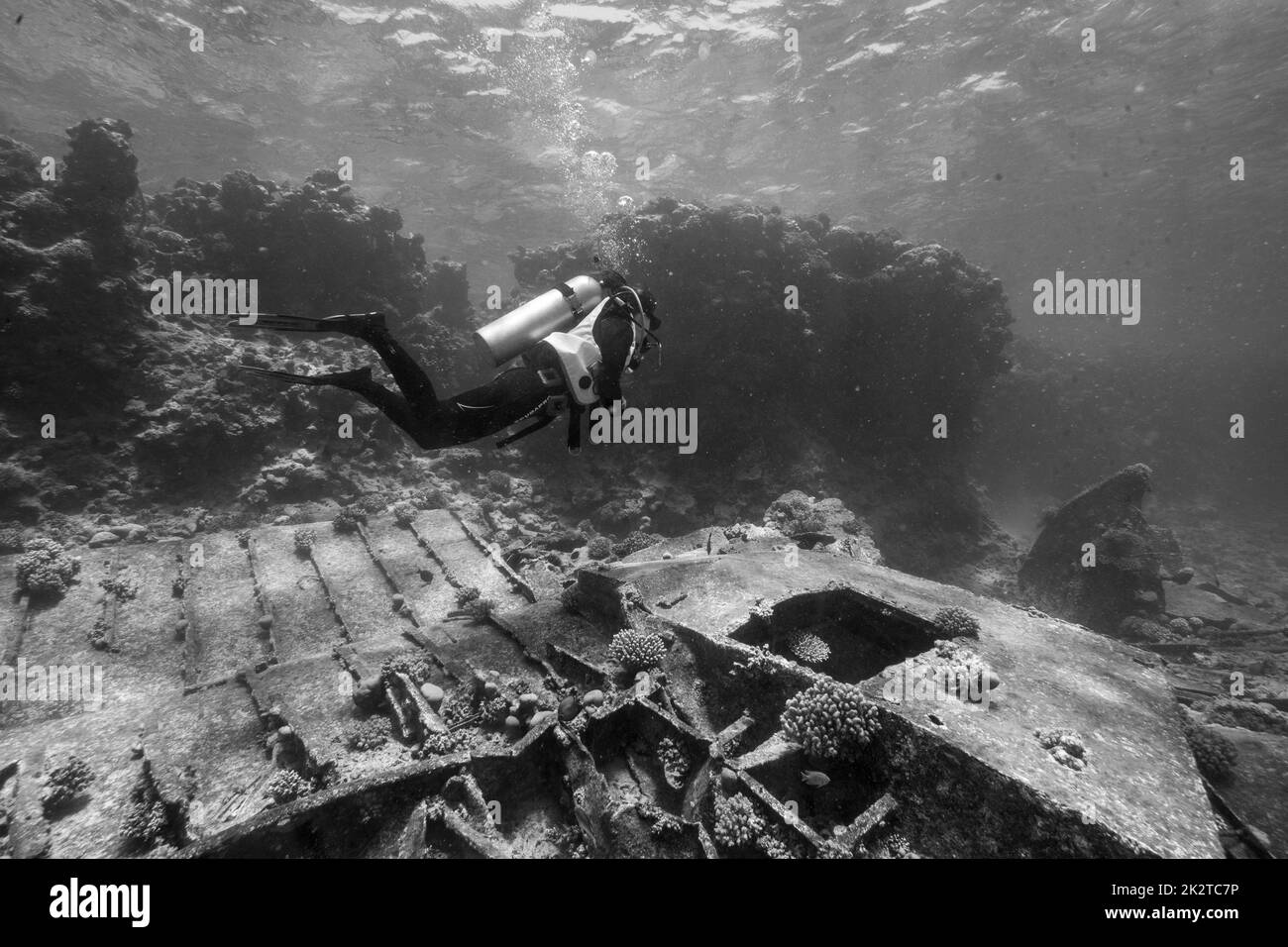 Un'immagine in scala di grigi del subacqueo alla ricerca di artefatti annegati Foto Stock