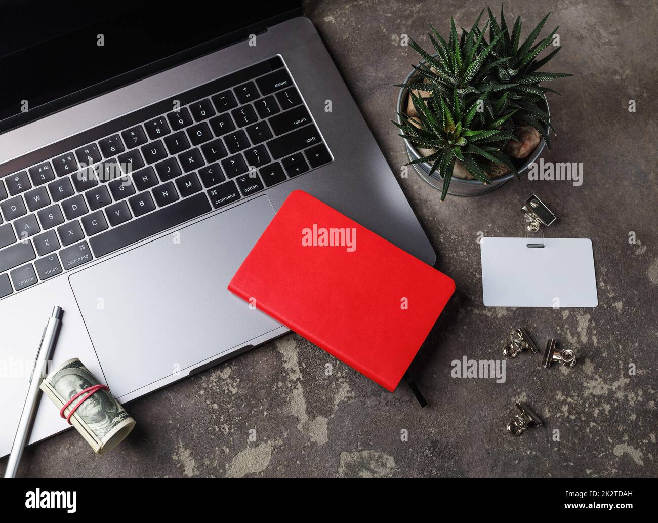 Concetto di business online. Notebook, notebook, badge vuoto, penna, dollari e succulente pianta. Foto Stock