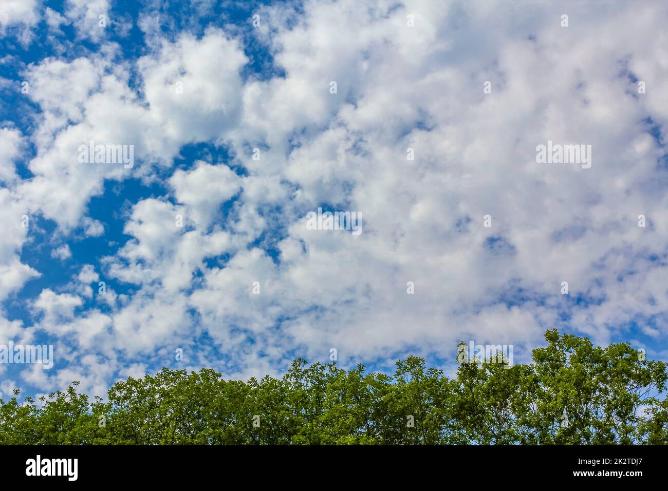 Cielo blu con nuvole chimiche piste chimiche nella giornata di sole Germania. Foto Stock