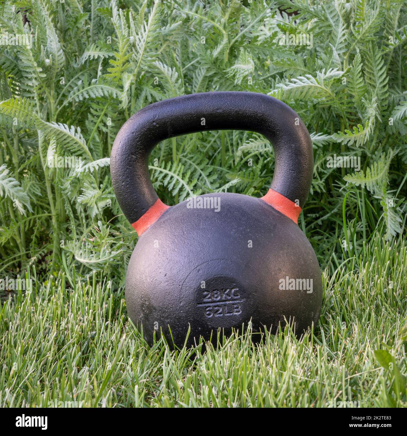 kettlebell su erba - fitness cortile Foto Stock