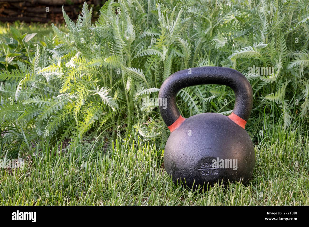 pesante ferro kettlebell su erba verde in un cortile - concetto di fitness all'aperto Foto Stock