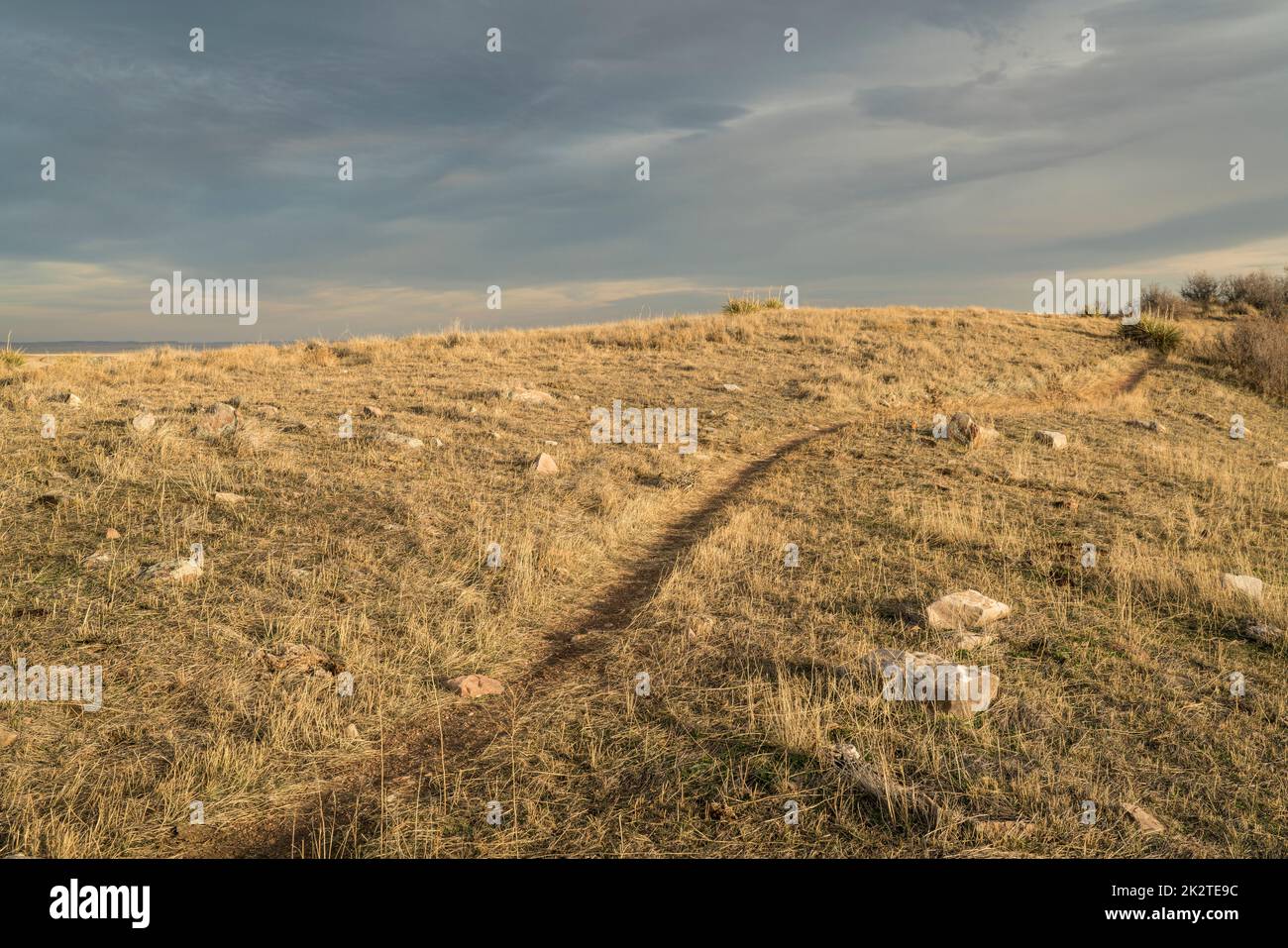 tramonto su una pista singola ciclabile e sentiero escursionistico Foto Stock