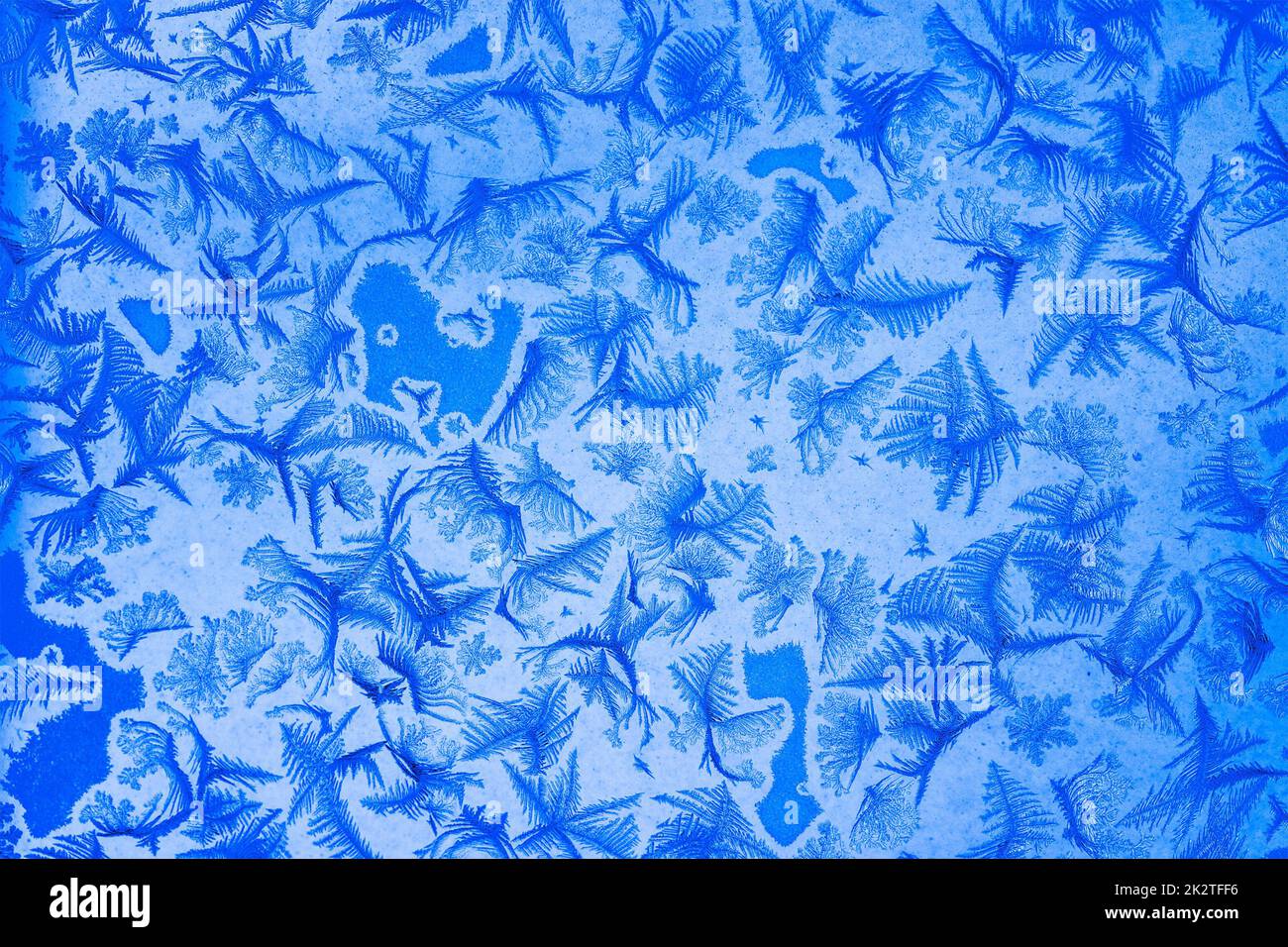 Pattugliatori invernali Foto Stock