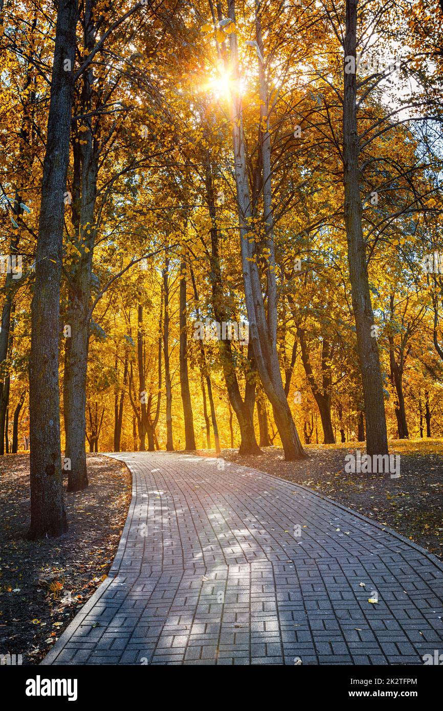 Autunno nel parco Foto Stock