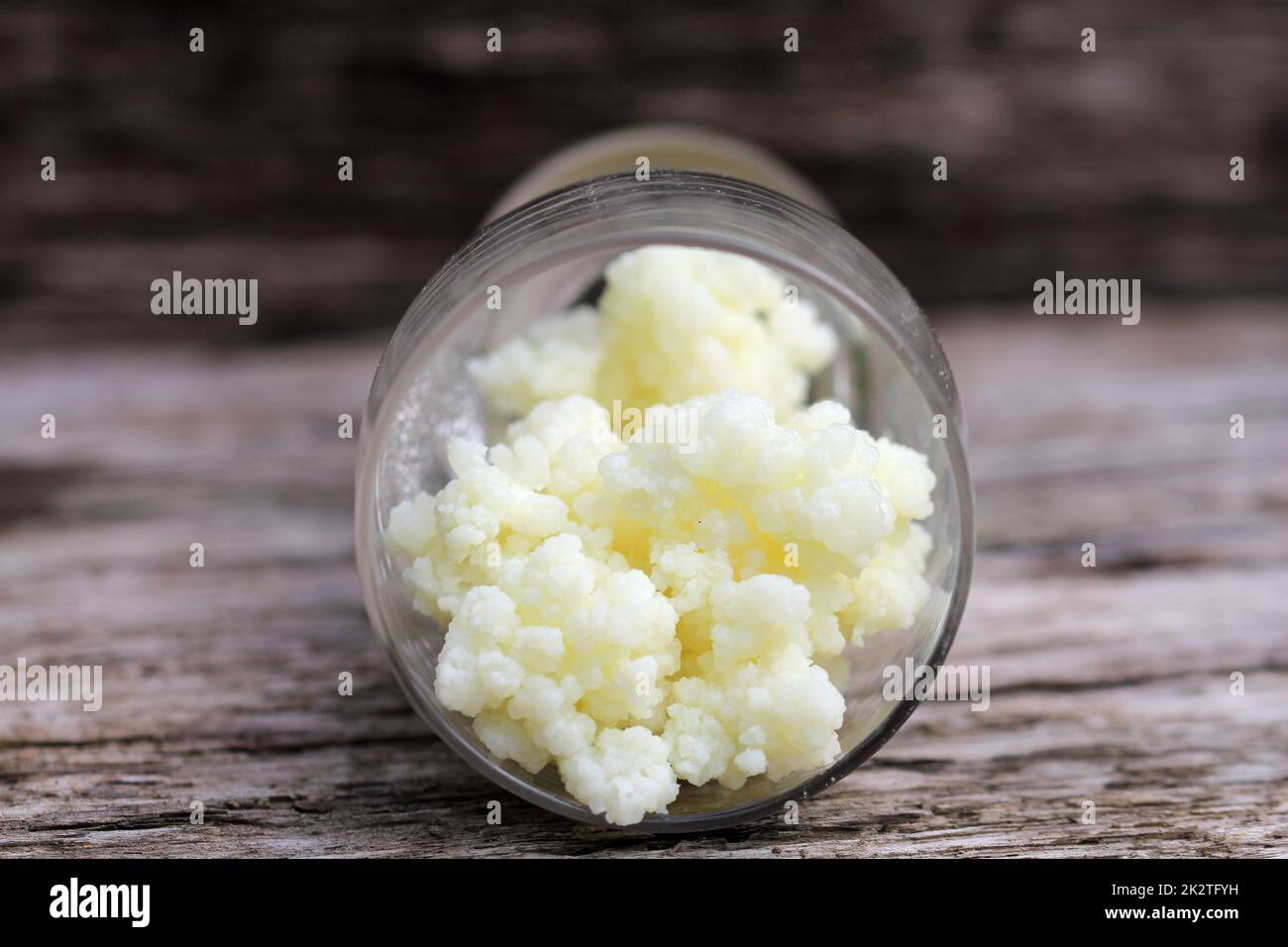 Funghi kefir in vetro su sfondo di legno per una sana bevanda a base di latte Foto Stock