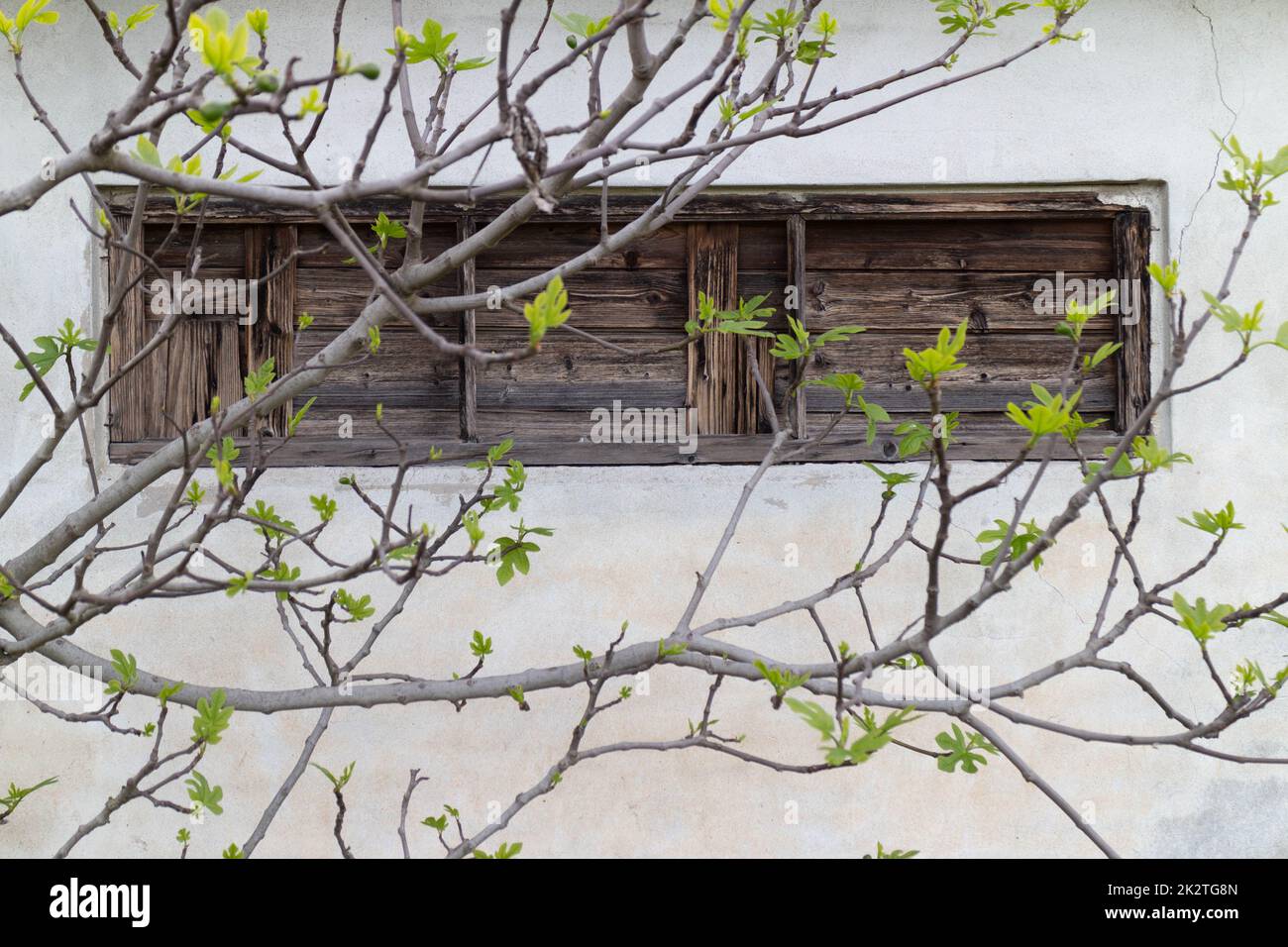 Dettagli esterni di un vecchio capannone agricolo, Italia Foto Stock