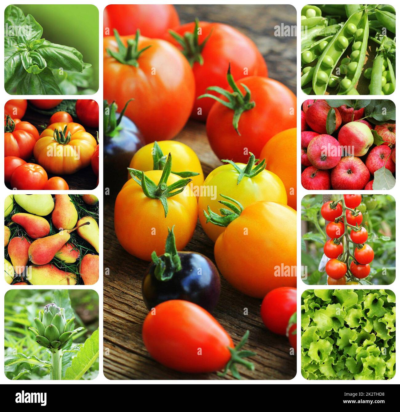 Collage di ortaggi e frutta - prodotti di orto. Mangiare sano consept. Sfondo di giardinaggio Foto Stock