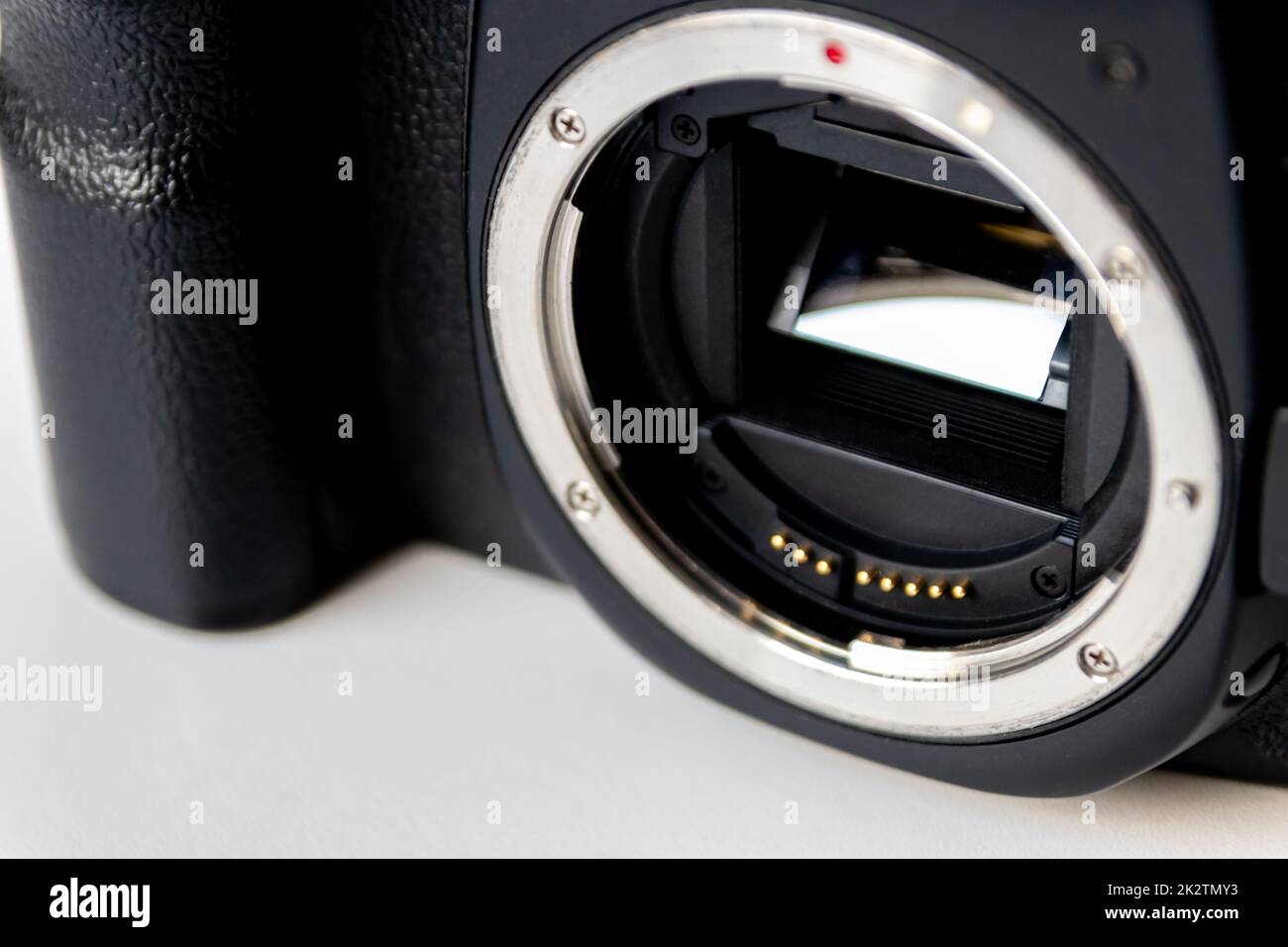 L'attrezzatura professionale per fotocamera reflex digitale con obiettivo teleobiettivo zoom da 70-300 mm e obiettivo grandangolare per fotocamera in vista macro ravvicinata mostra i dettagli dell'attrezzatura fotografica per gli scatti in studio e per i ritratti di animali selvatici Foto Stock