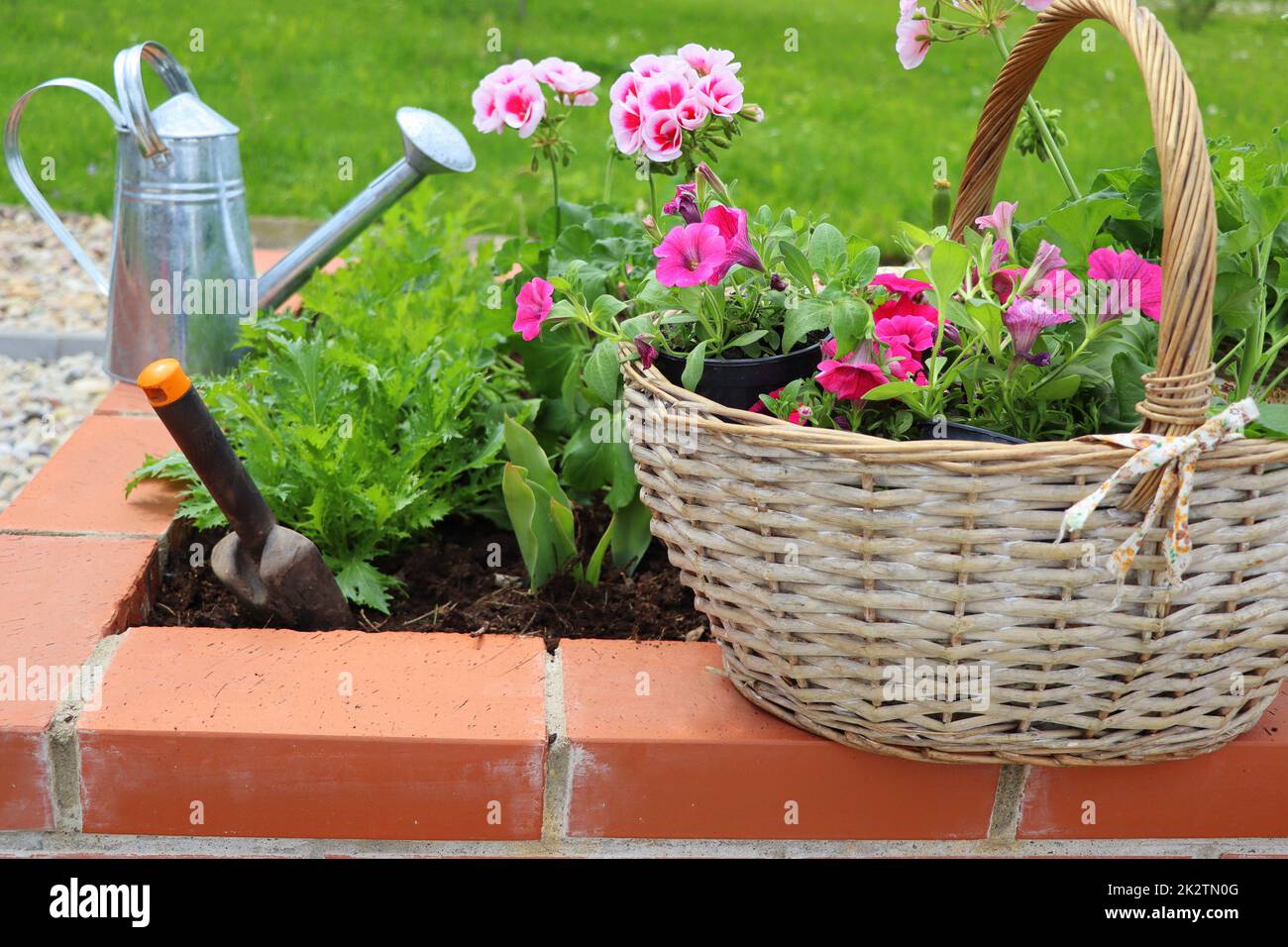 Giardino Fiori, piante e attrezzi in un giardino moderno. Concetto di impianti di giardinaggio di primavera Foto Stock