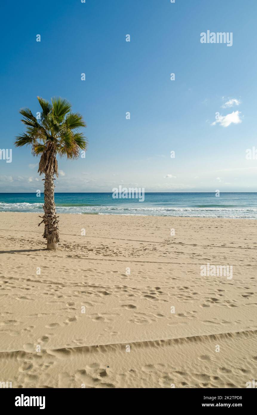 Spiaggia mediterranea a Calpe, Spagna Foto Stock