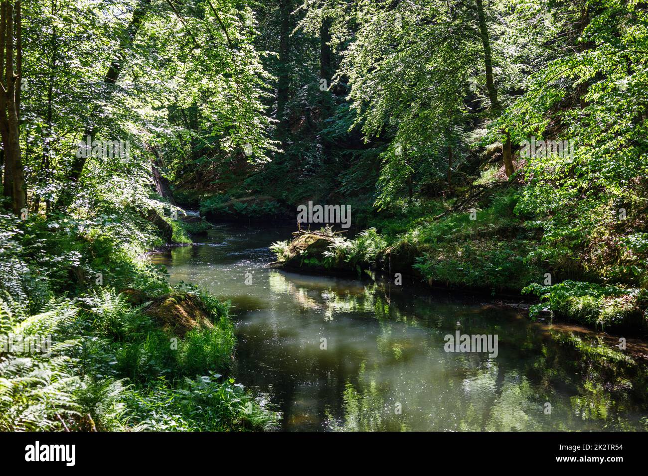 Fiume Kamenice nel Parco Nazionale della Svizzera Boema, Repubblica Ceca Foto Stock