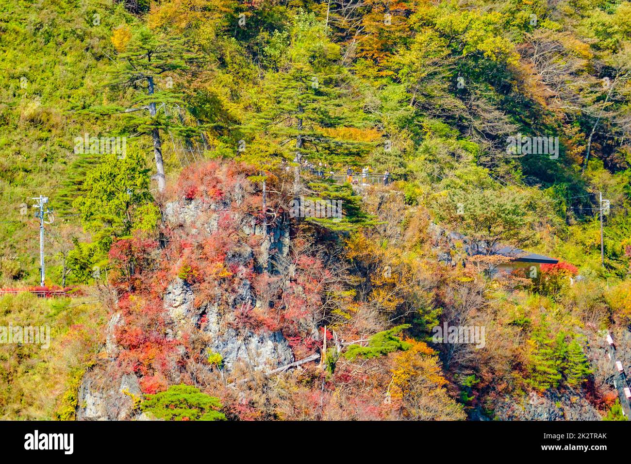Okaw quattromila foglie autunnali Foto Stock